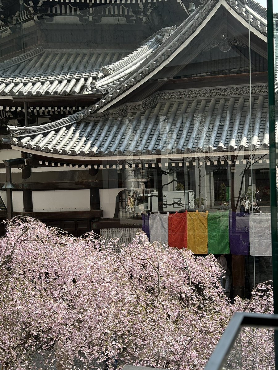 グレイソン tweet media