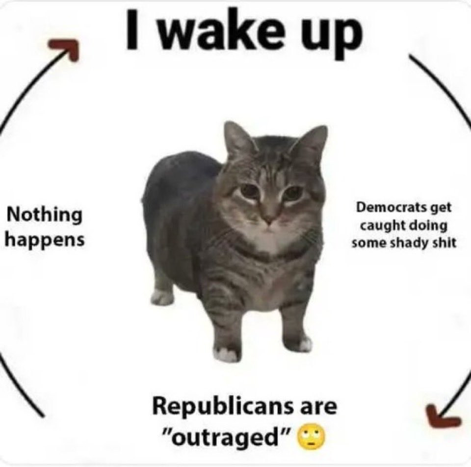 RottenRonnie tweet media