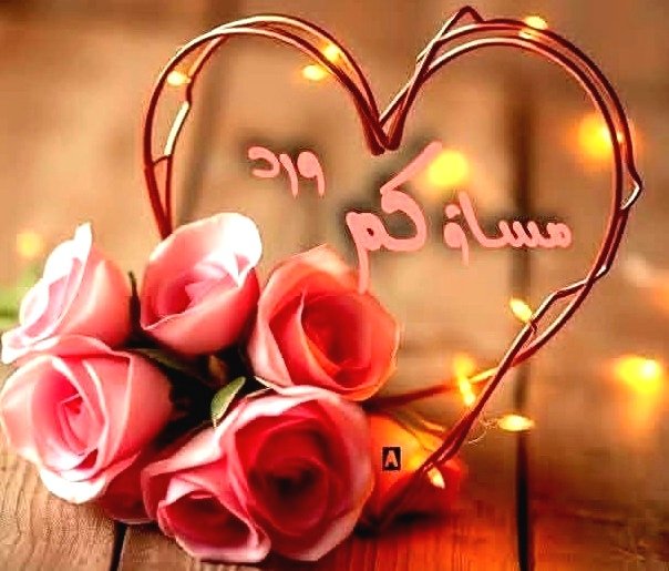 خالد الشريف ابو بودى tweet media