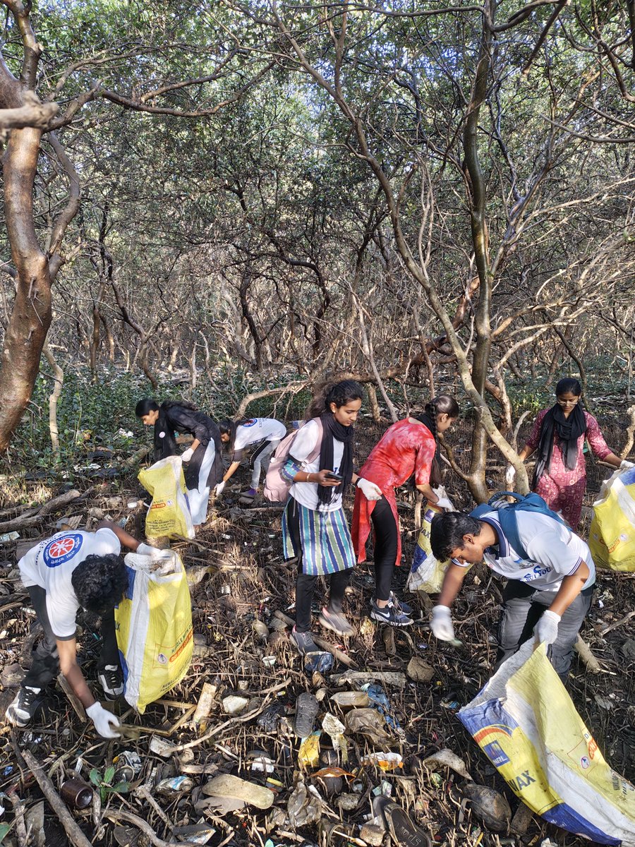 Environment Life Foundation tweet media