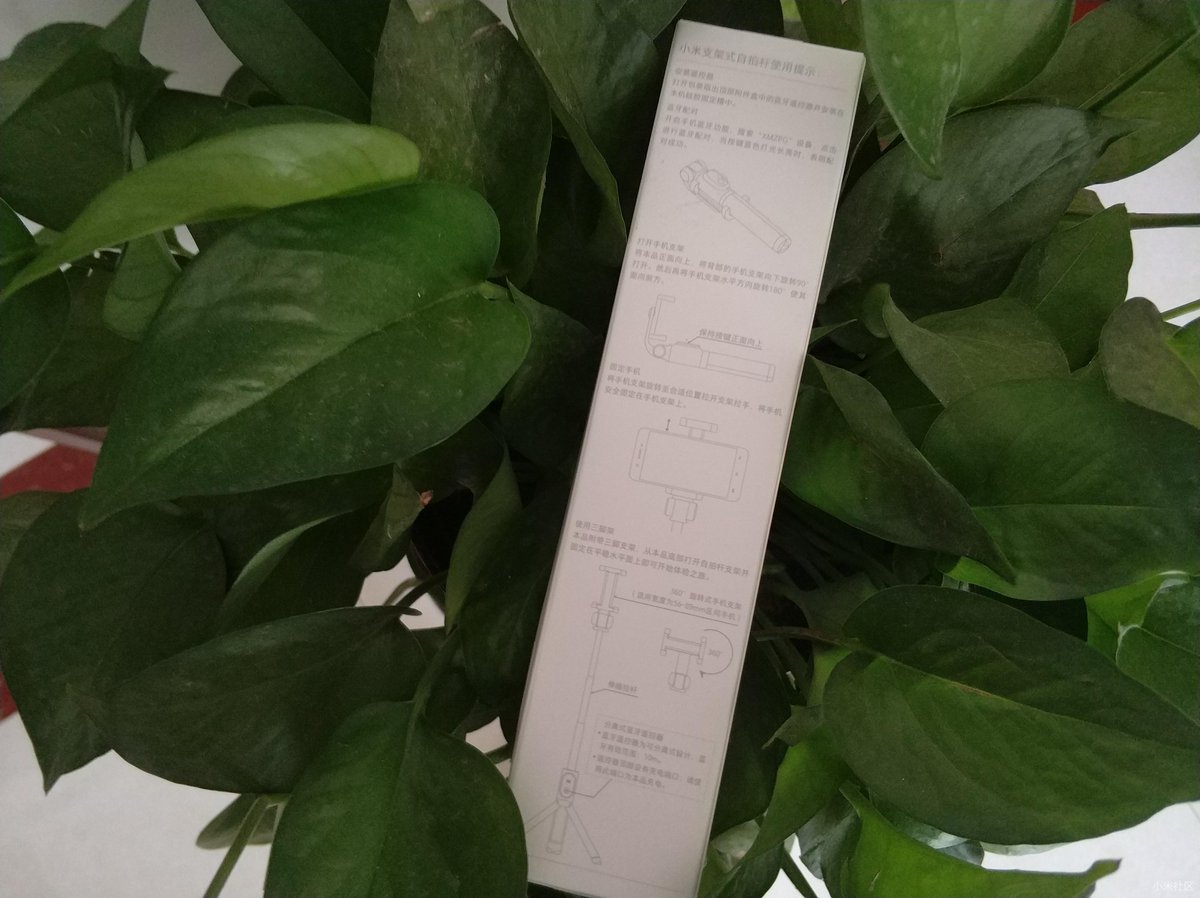 Michael Quarrles Jr. tweet media