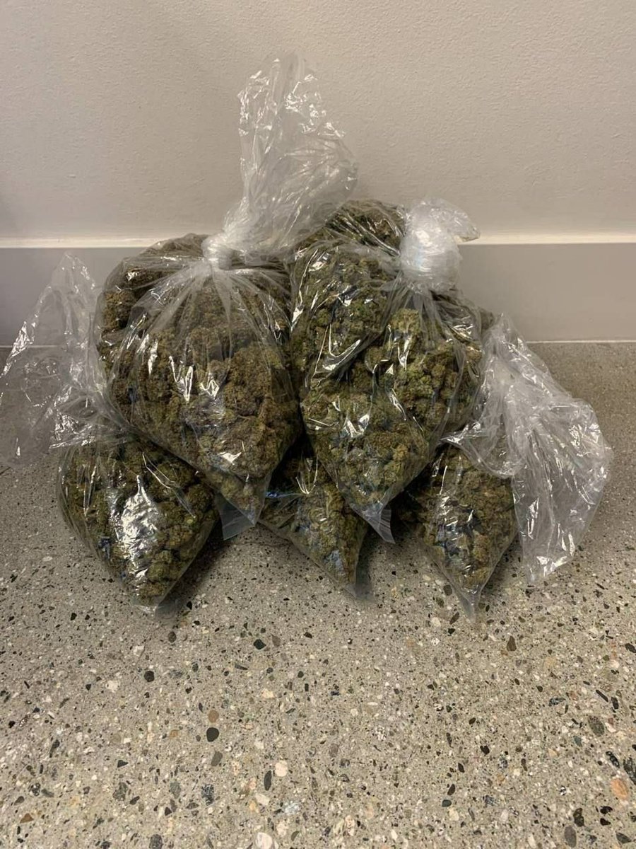 Scott0060385763's tweet photo. Don’t sleep on Austin drop! 🔥 Purple Haze &amp; gas heavy in Austin 512, Round Rock, Cedar Park, Pflugerville, Georgetown, San Marcos, Kyle, Leander, Buda, Temple ⛽️ Bulk Purple Haze, discreet. DM "GAS TX" now 💨 #TXWeed #AustinWeed #512Weed #TexasWeed #PurpleHaze #PurpleHazeTX https://t.co/OrTCS96ofp