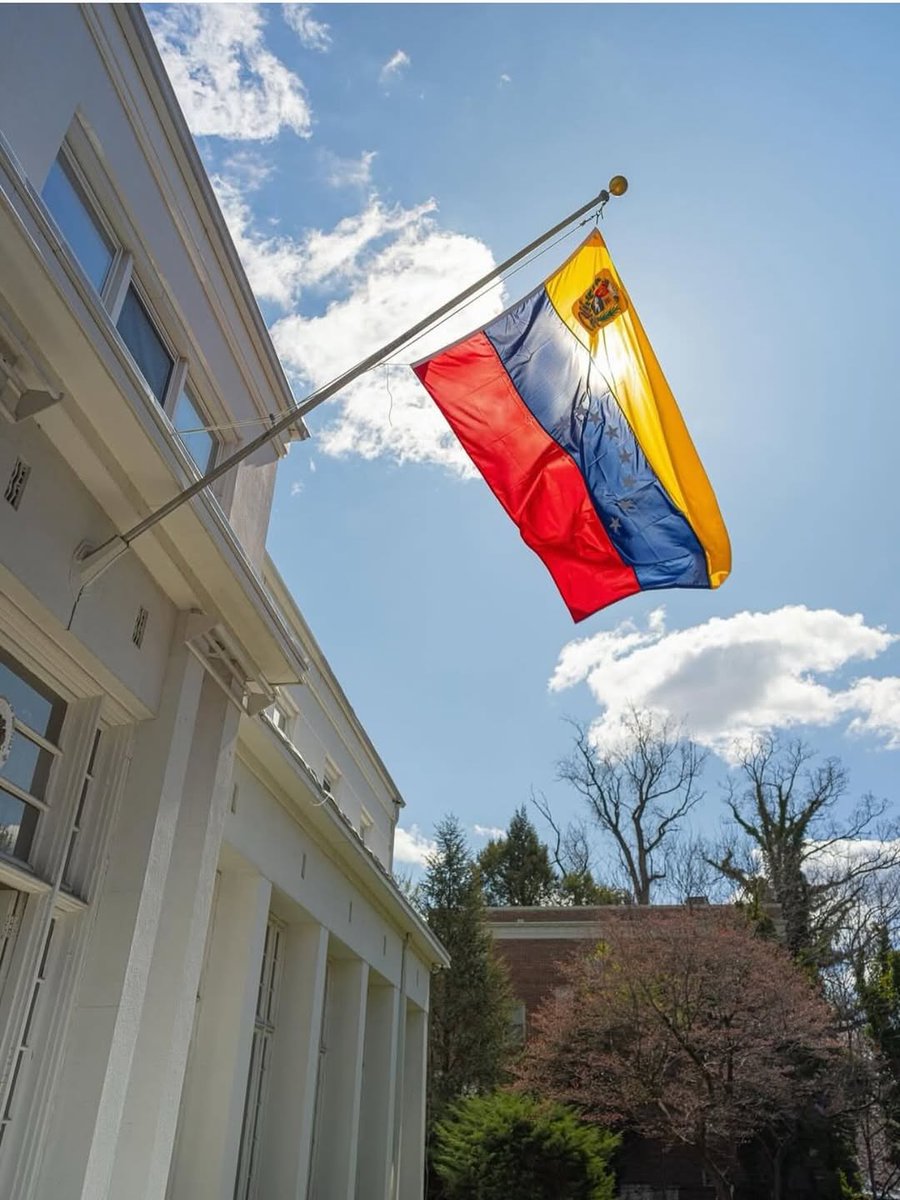 Edigo 🇻🇪 tweet media