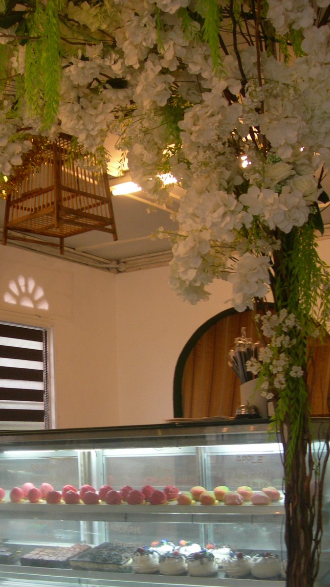 A F I Q 🧸 tweet media