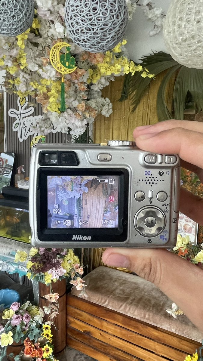 A F I Q 🧸 tweet media