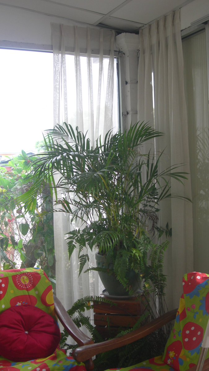 A F I Q 🧸 tweet media