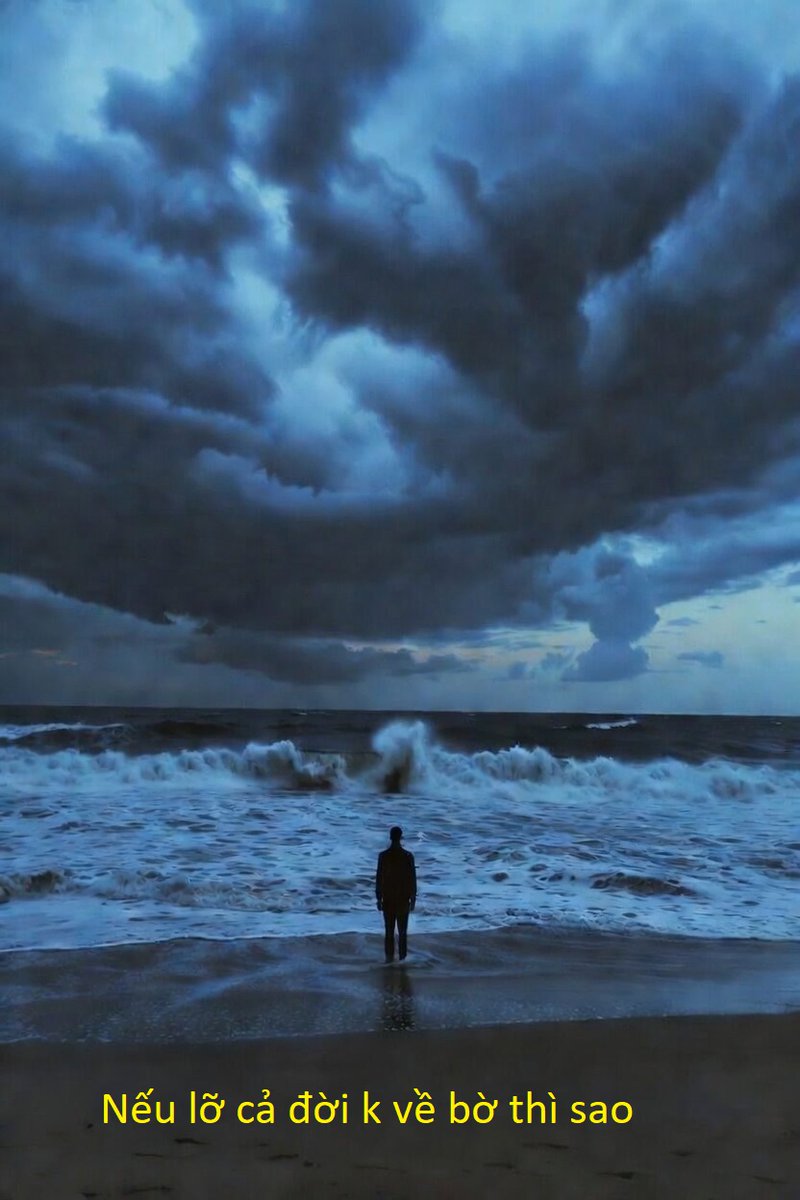 SaruCrypto tweet media