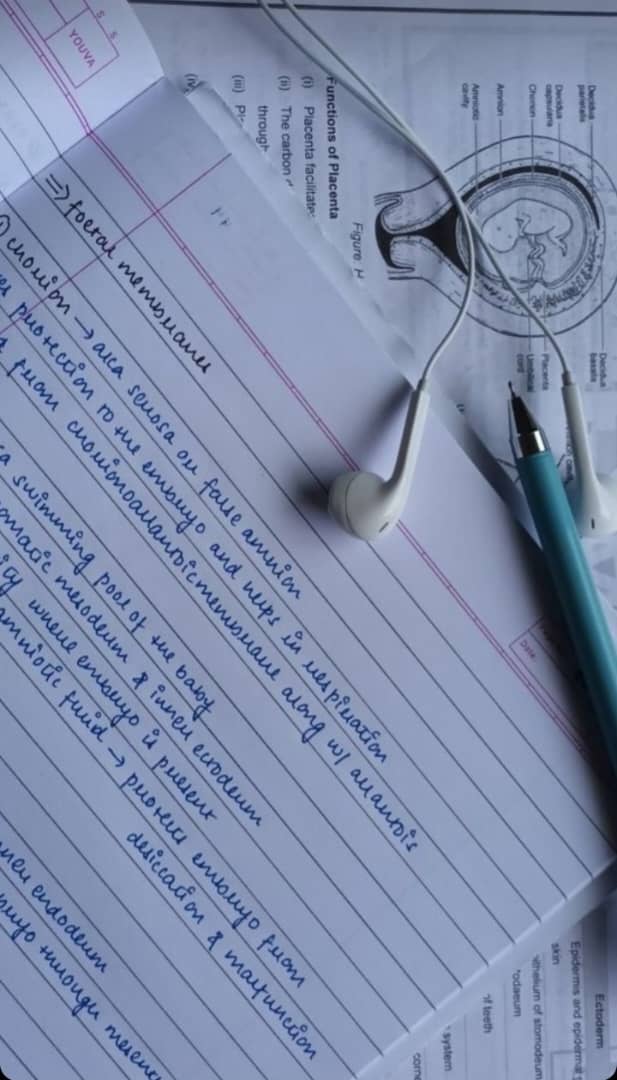 jingo bey tweet media