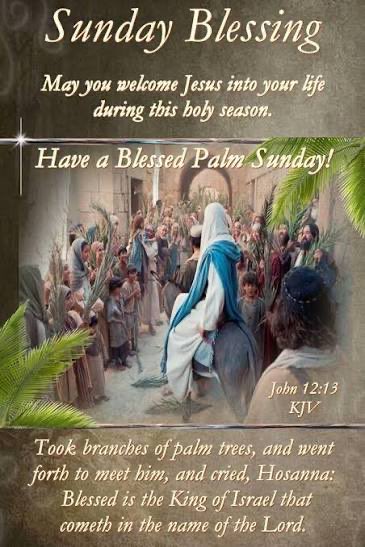 Clint 🇺🇸 tweet media