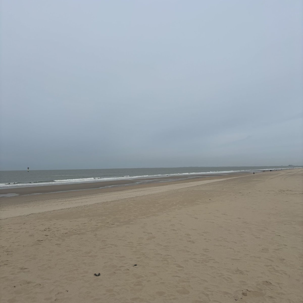 Jones⚡️💪🏻 tweet media