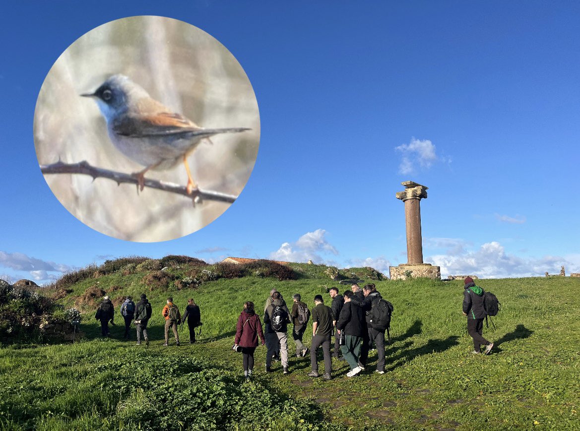 Thanasis Tsafonis tweet media