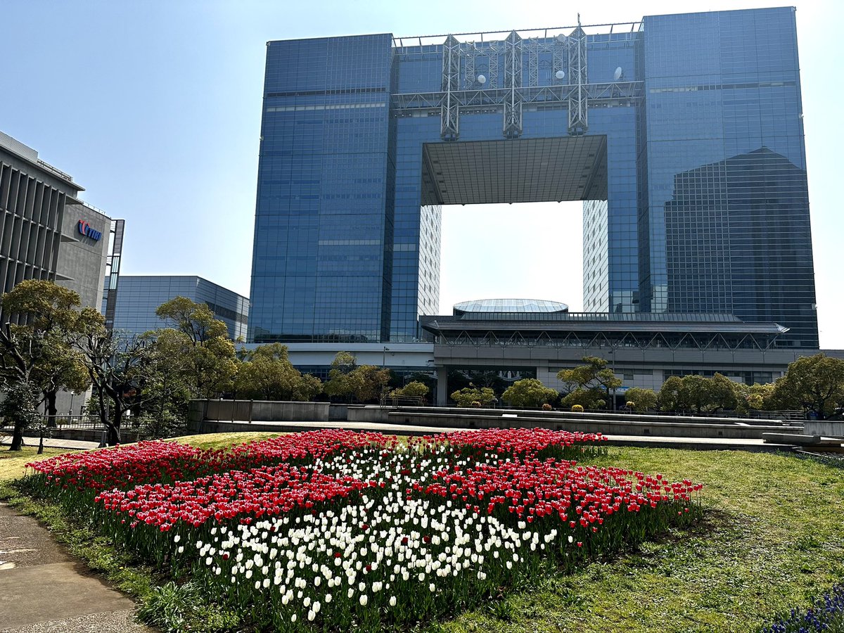 puh_gucci's tweet photo. 都庁の東京大会5周年企画が話題ですが
こちらにも東京2020の記憶が

お台場の🌷は今が見頃です

#トウキョウフローラルパサージュ
#市松の花壇
#TOKYO2020 https://t.co/hPFsvThF6l
