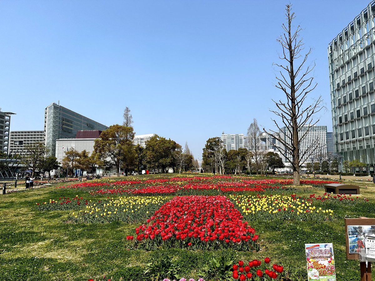 puh_gucci's tweet photo. 都庁の東京大会5周年企画が話題ですが
こちらにも東京2020の記憶が

お台場の🌷は今が見頃です

#トウキョウフローラルパサージュ
#市松の花壇
#TOKYO2020 https://t.co/hPFsvThF6l