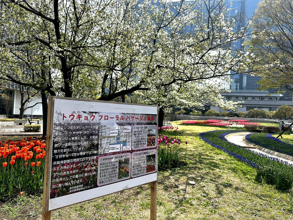 puh_gucci's tweet photo. 都庁の東京大会5周年企画が話題ですが
こちらにも東京2020の記憶が

お台場の🌷は今が見頃です

#トウキョウフローラルパサージュ
#市松の花壇
#TOKYO2020 https://t.co/hPFsvThF6l
