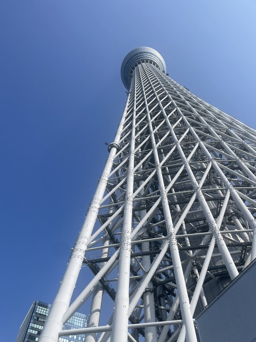 遅刻ん(チコくん) 🐢 tweet media