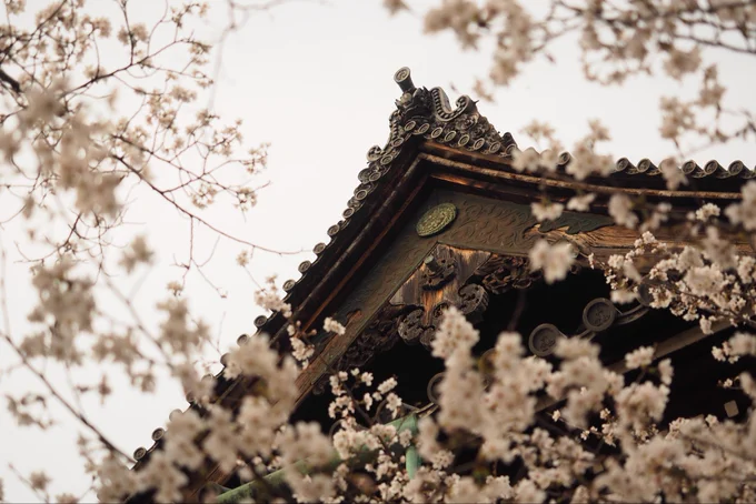 京都っぽいね