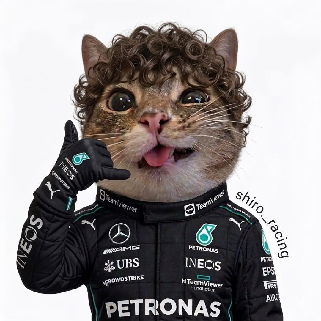 Mercedes-AMG F1 Brasil 🇧🇷 tweet media