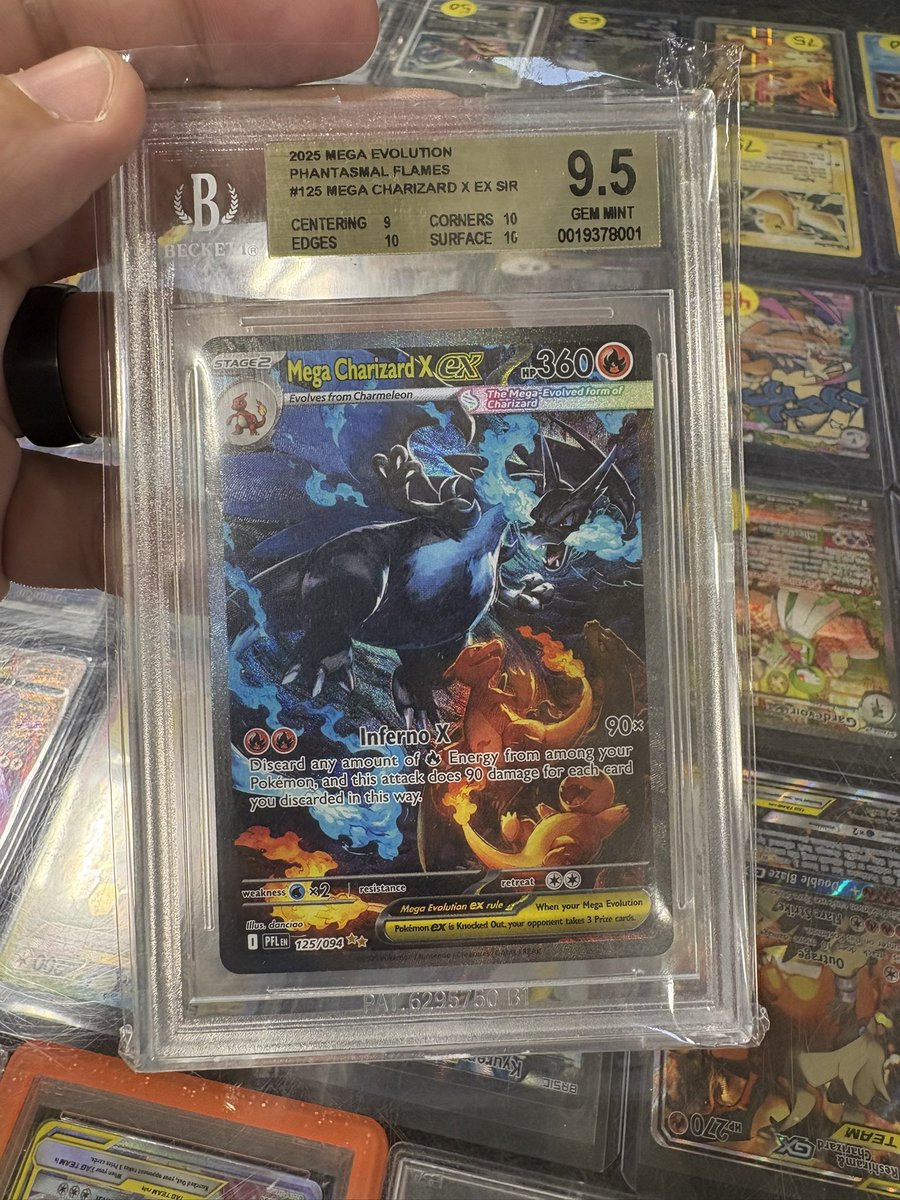 Catskill Collections TCG tweet media