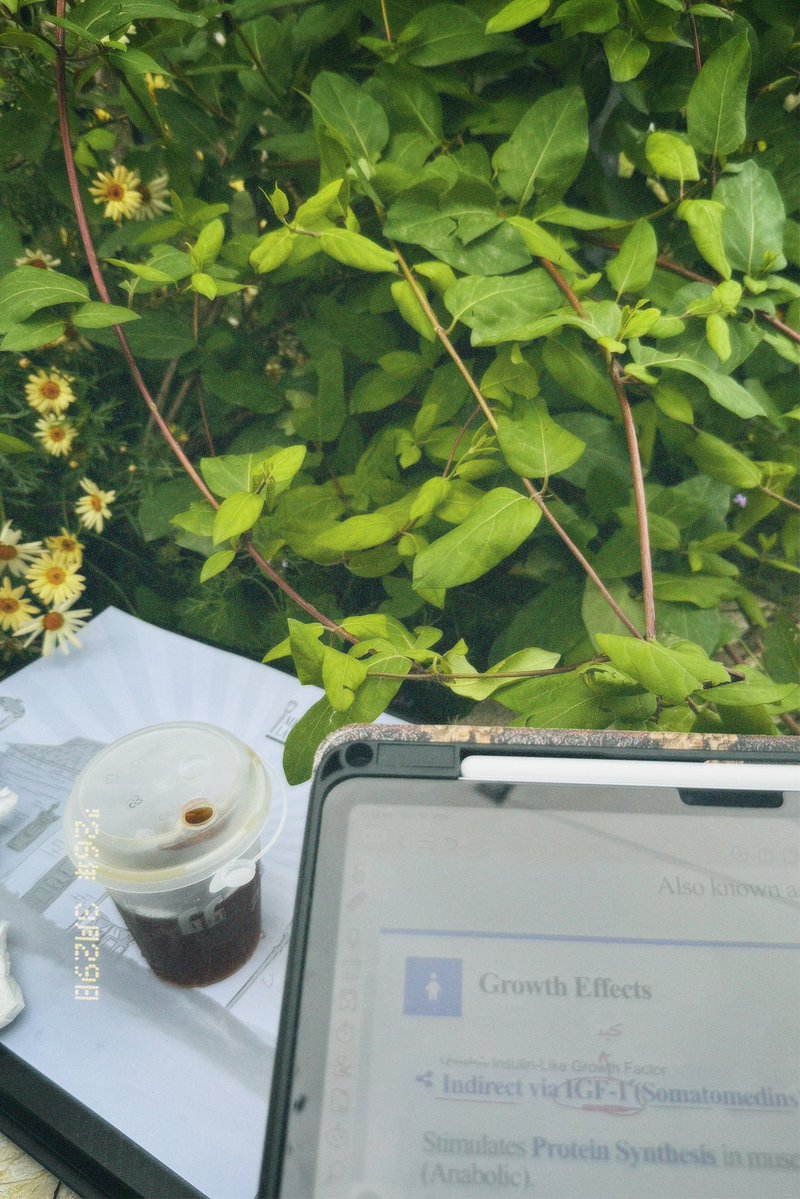 لانـا tweet media