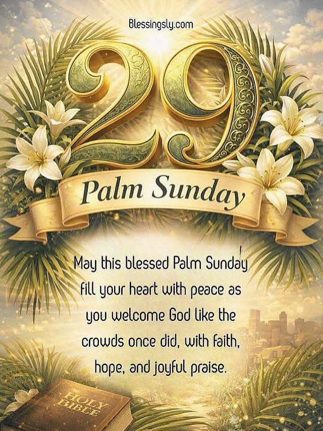 Daytona Beach Christian University tweet media