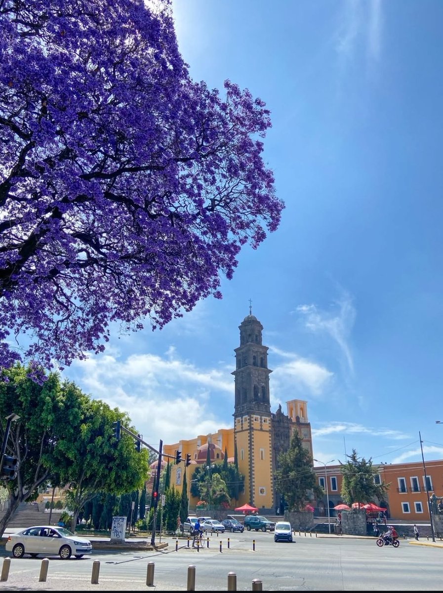 Silvia Argüello tweet media