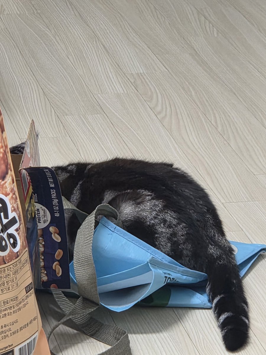 똘망🐱🩷 tweet media