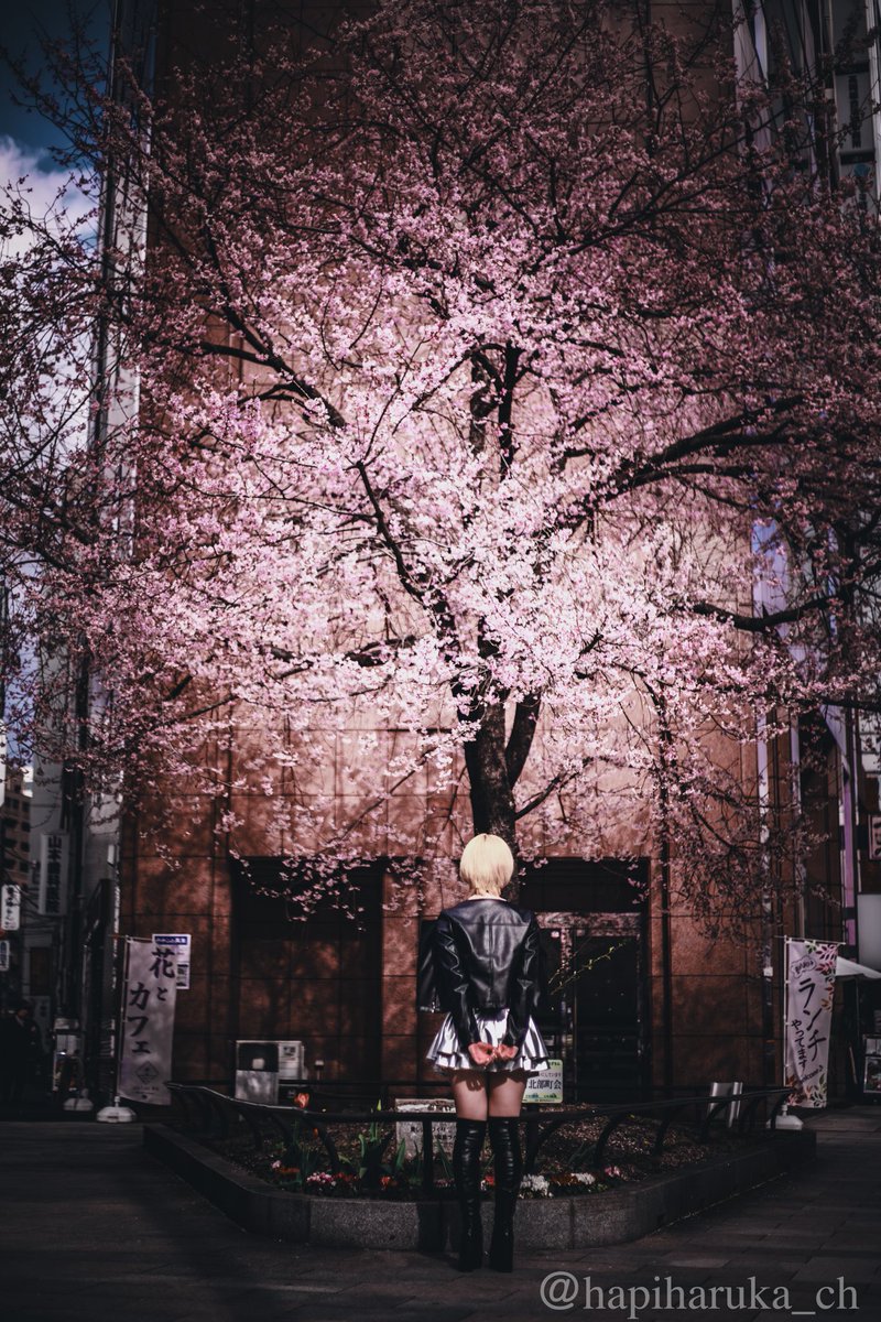 はぴ&はるか🏨健全カップルの日常📓 tweet media