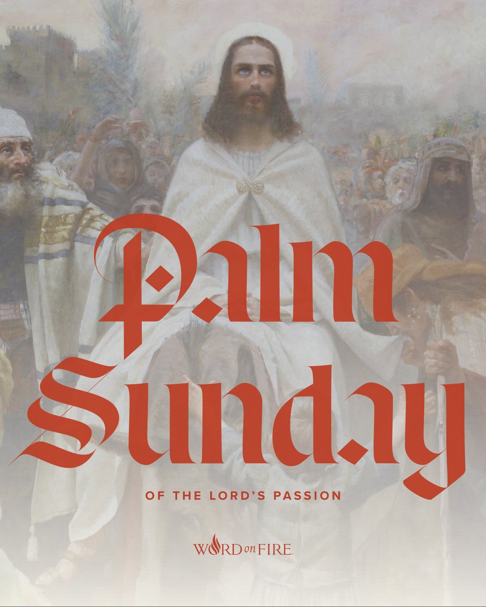 Bishop Robert Barron tweet media