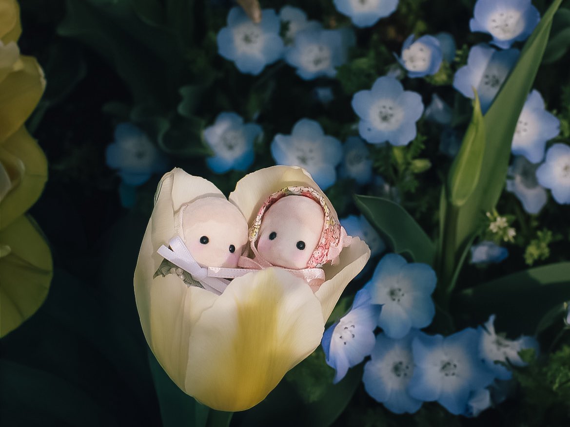 みにゅ◦𖡼ꙮ tweet media