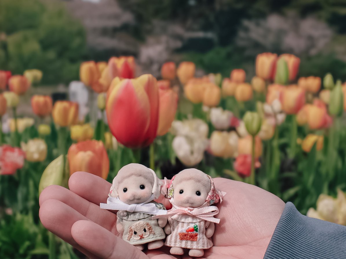 みにゅ◦𖡼ꙮ tweet media