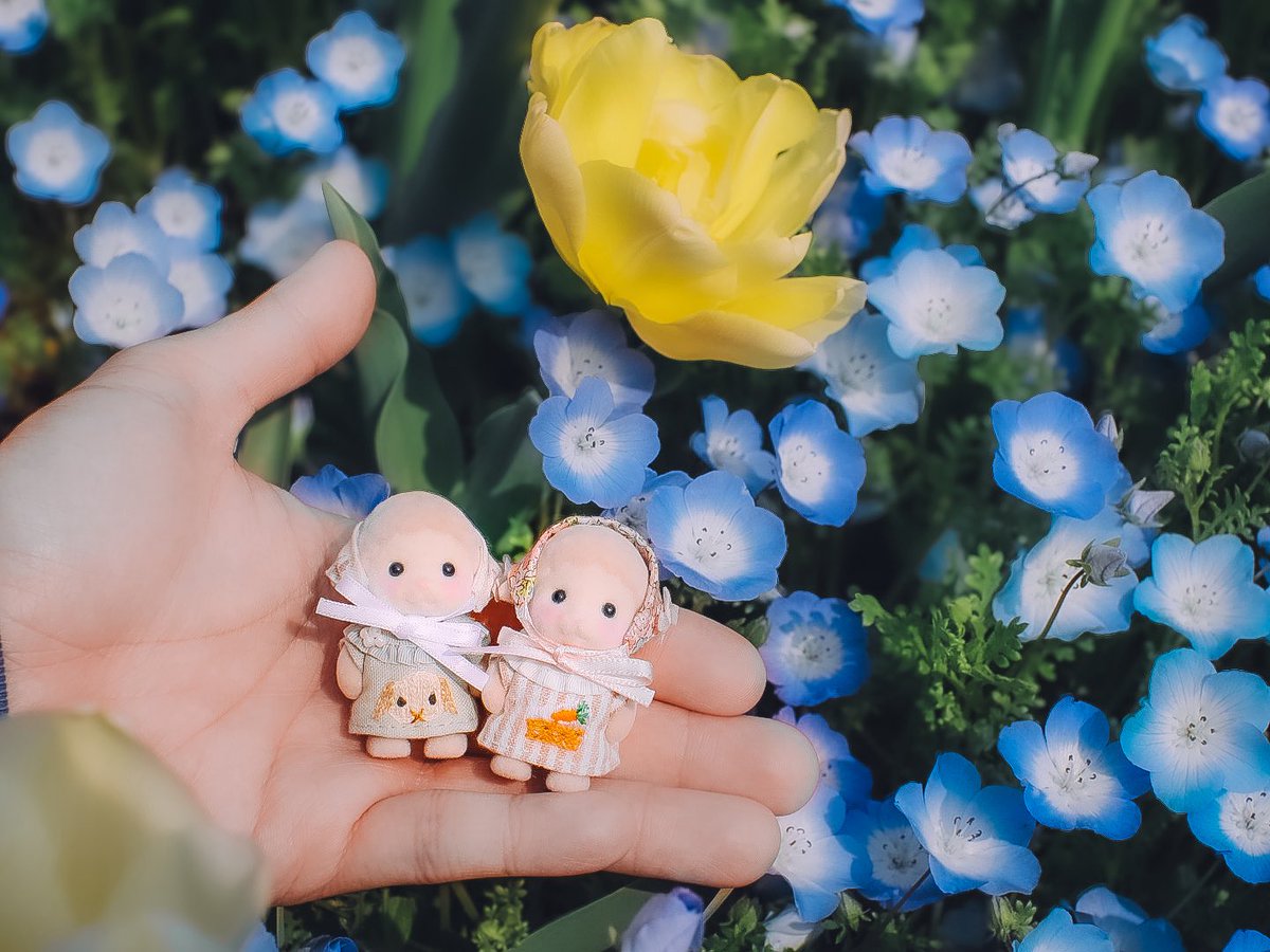 みにゅ◦𖡼ꙮ tweet media