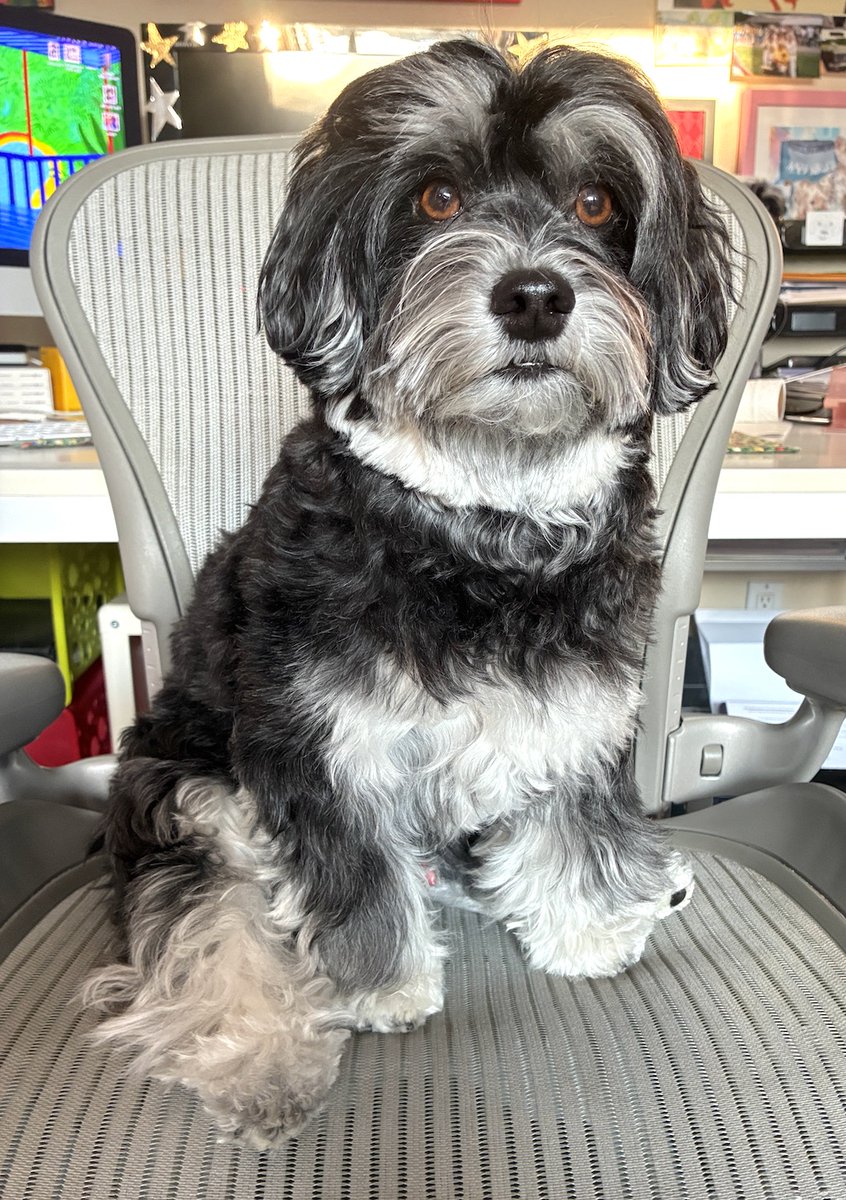 Jacky 🌞 tweet media