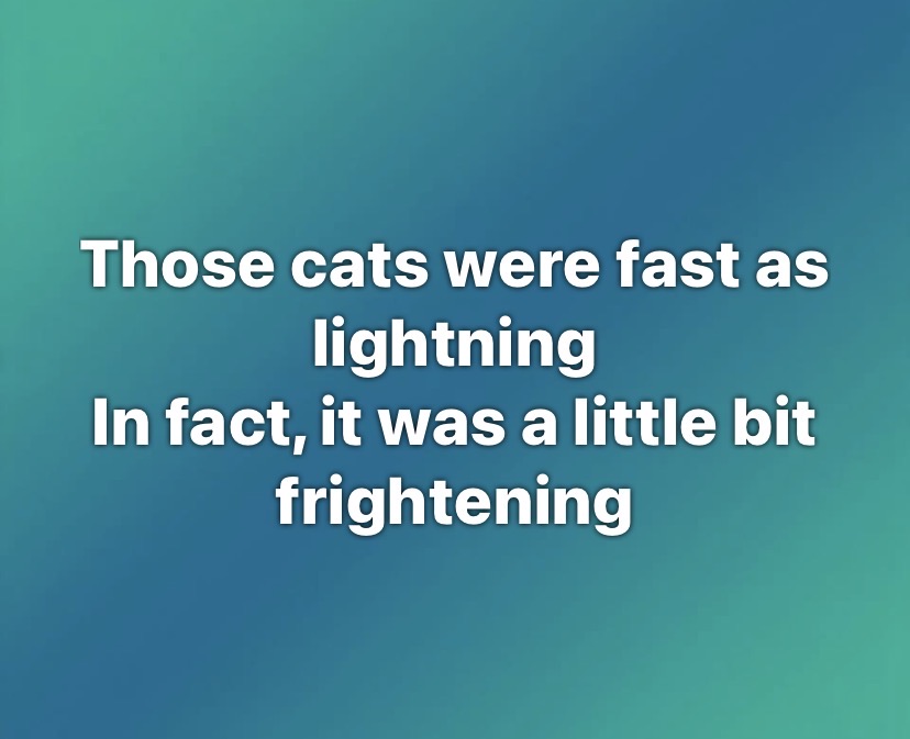 USA Trump Man 🇺🇸🇺🇸🇺🇸🇺🇸🇺🇸🇺🇸🇺🇸🇺🇸 tweet media