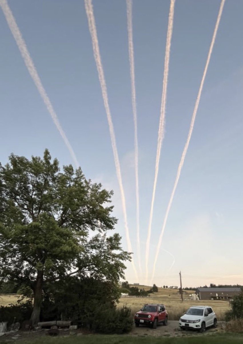 Concerned Citizen tweet media