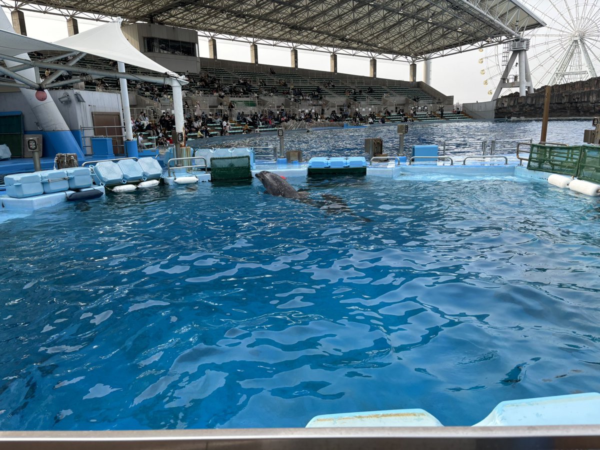 ににまる‎ tweet media