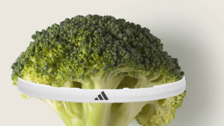 Kπtan αjor 🐙 tweet media