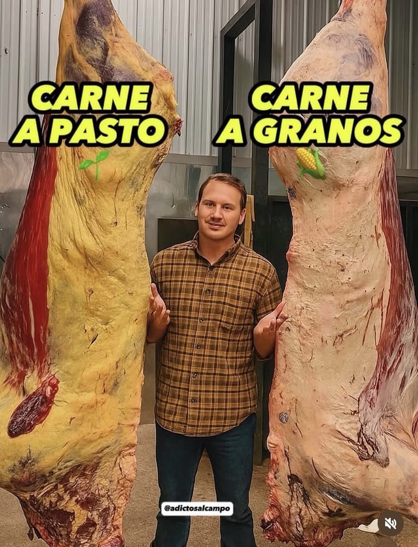 carlos federico kohn tweet media