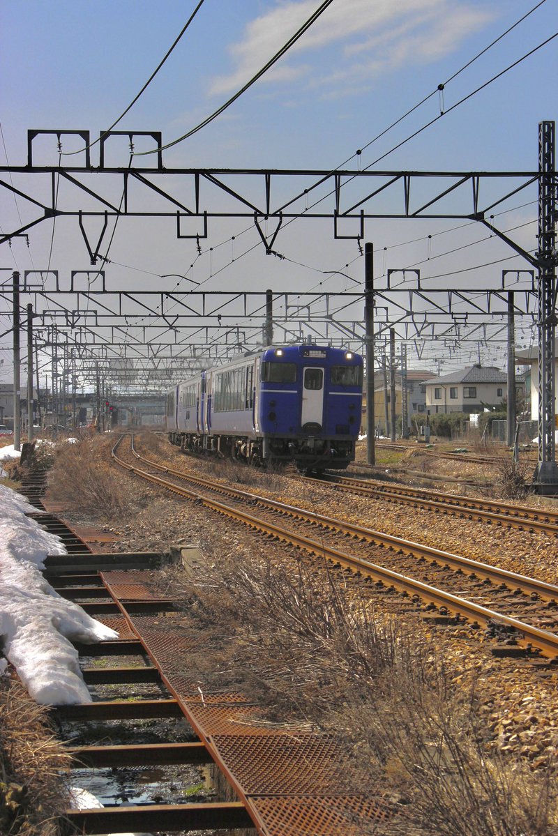 馬の被り物被って鉄道旅 tweet media