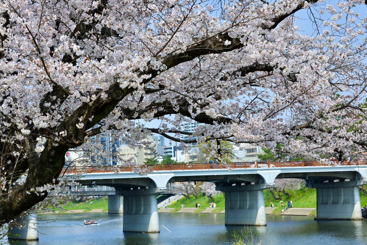 雄介JP tweet media