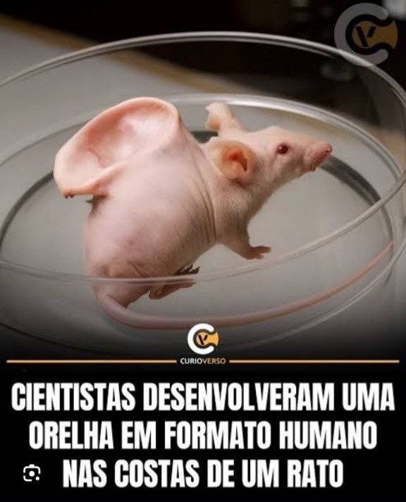 E daí? Lamento. Quer que eu faça o quê? tweet media