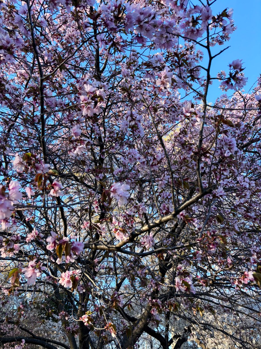 LilHumansBigImpact tweet media