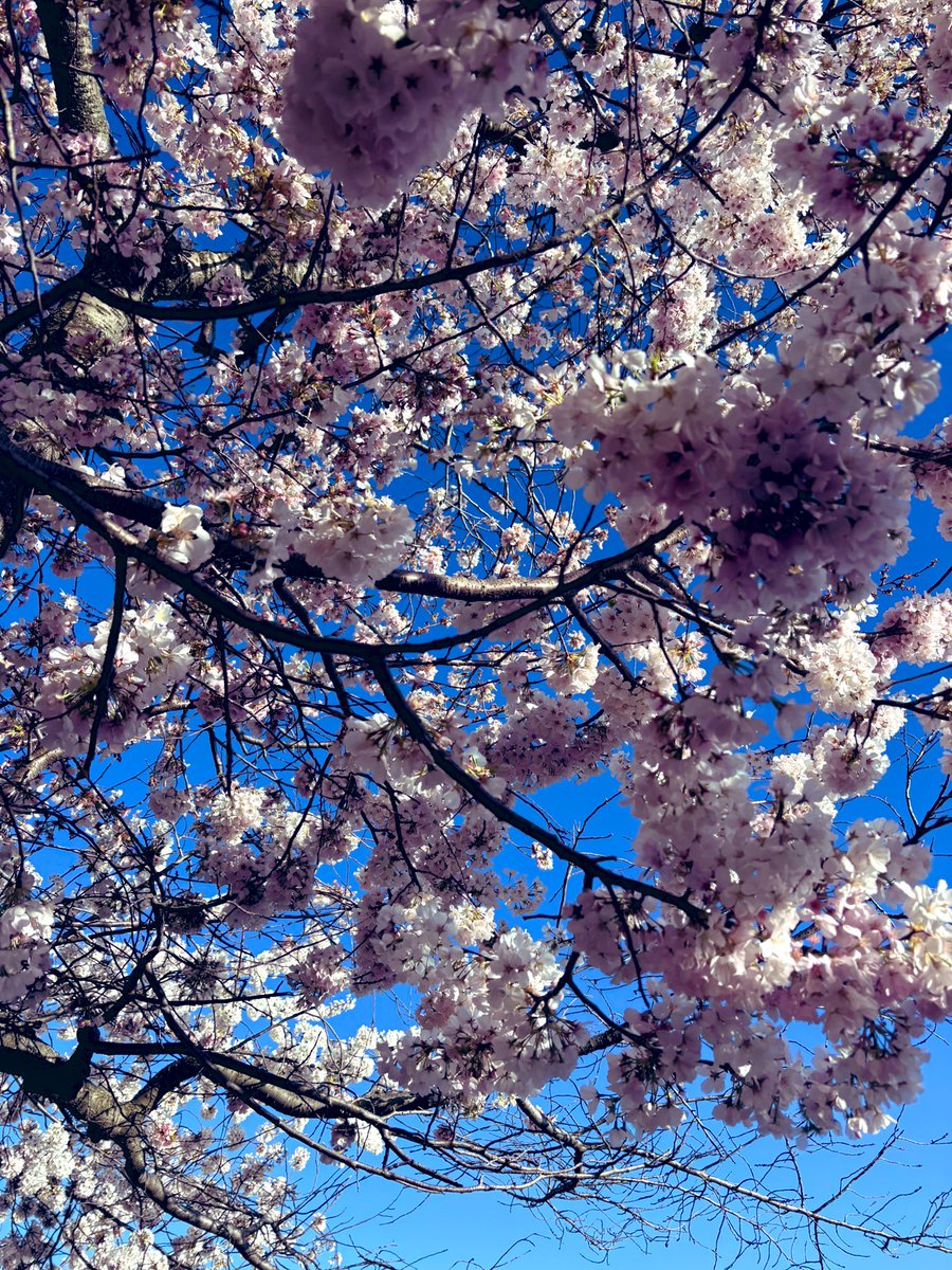 LilHumansBigImpact tweet media