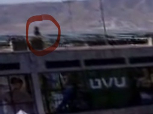 Project Constitution tweet media