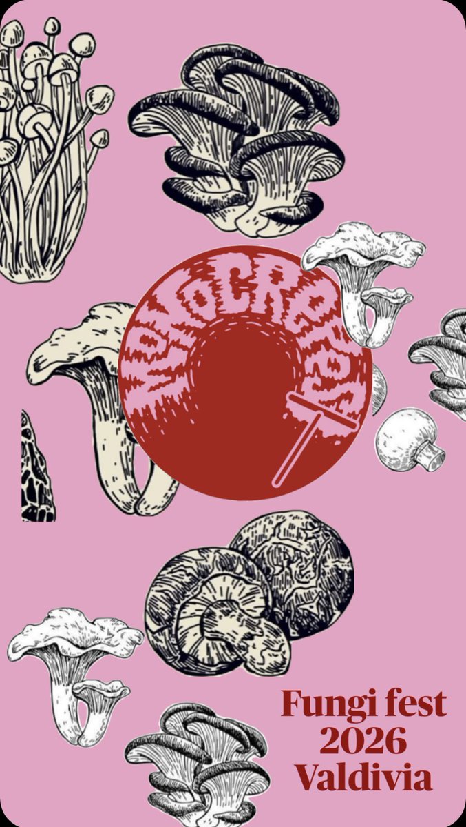 mono.crepes tweet media