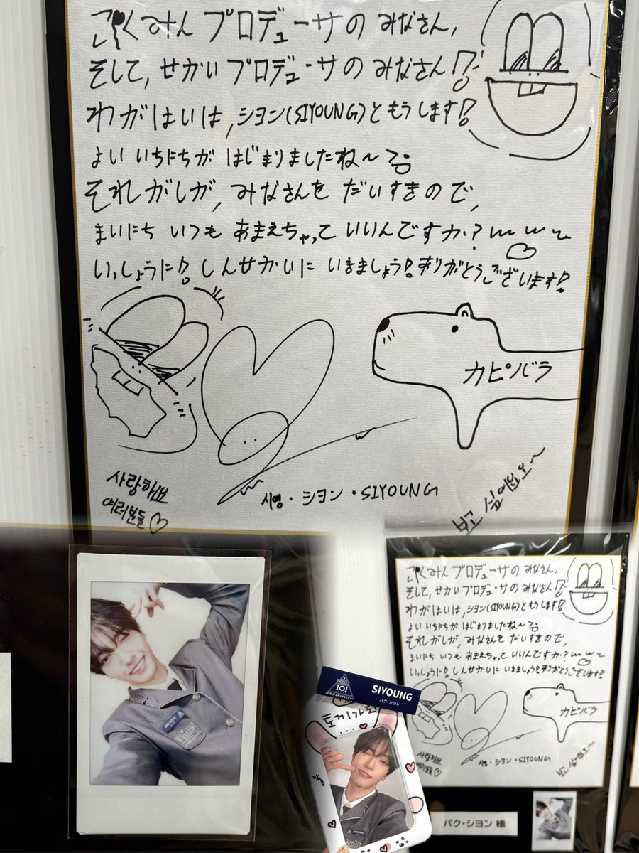 うさぎ🐰 tweet media