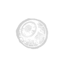 Paulie Esther tweet media