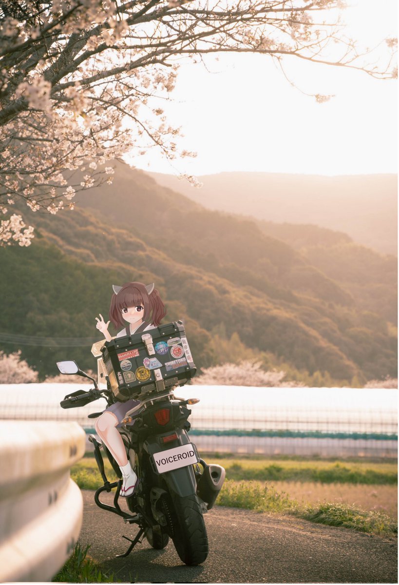 なつうめ_GIXXER250 tweet media