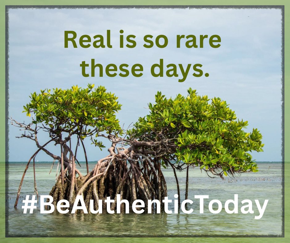 James W Strawn tweet media