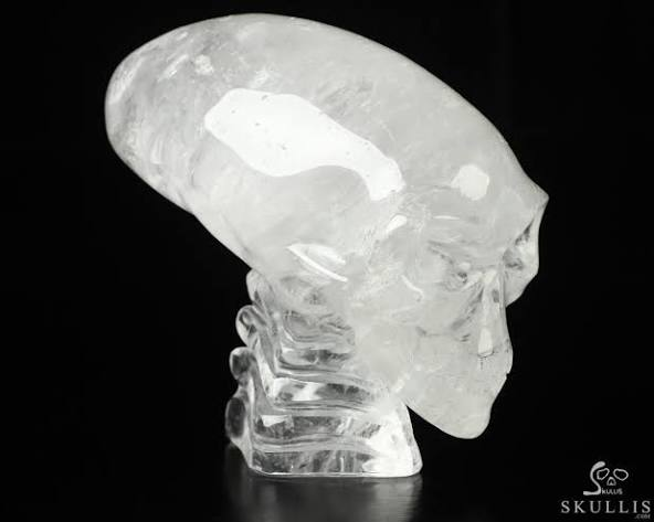 Tango247 tweet media