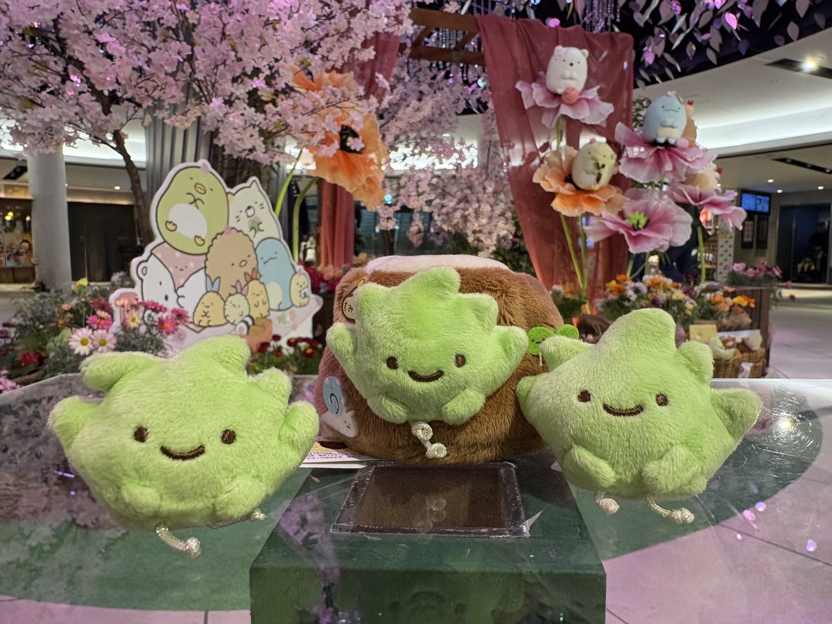 いすみ tweet media